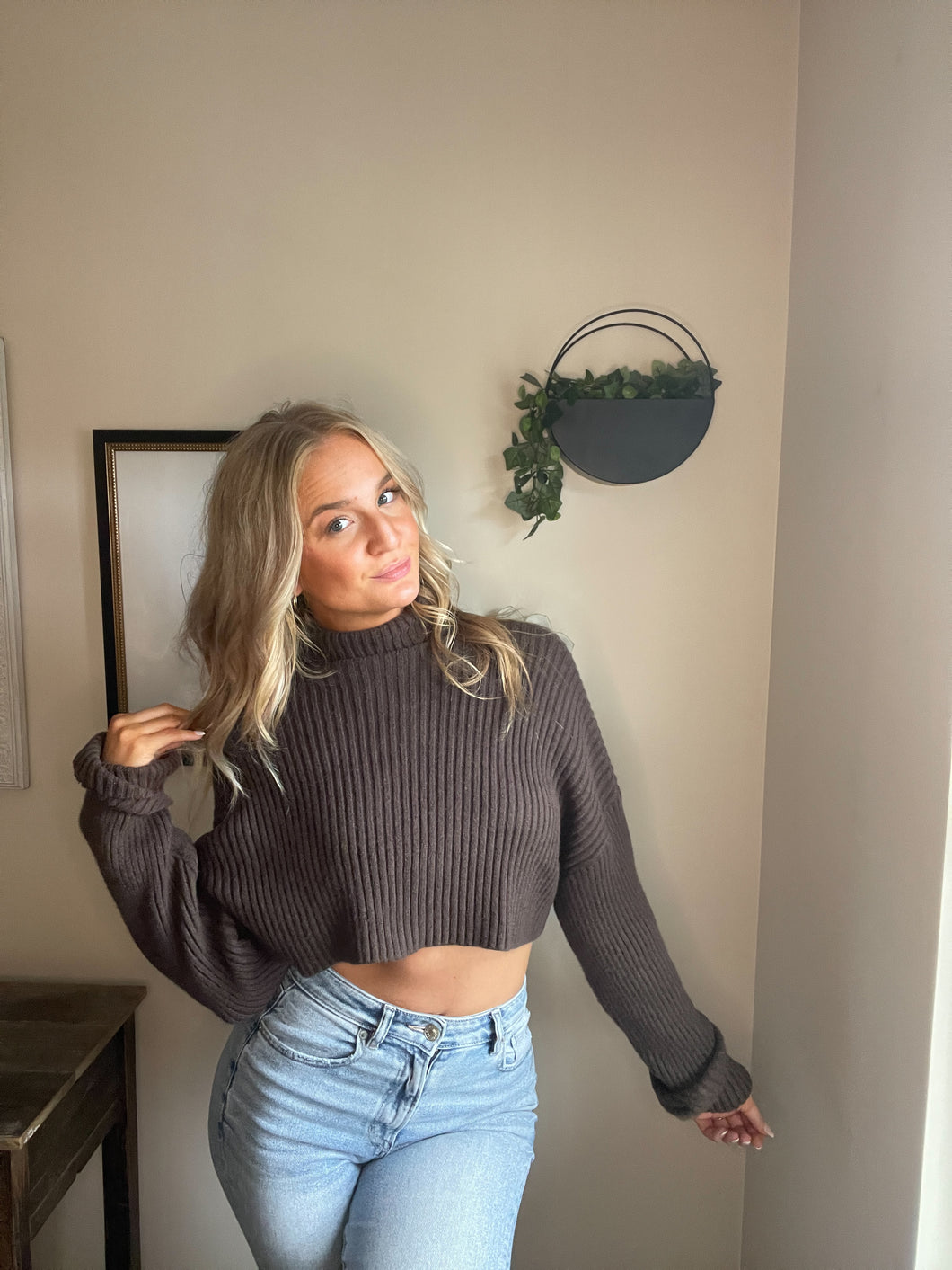 Anastasia Crop Turtleneck